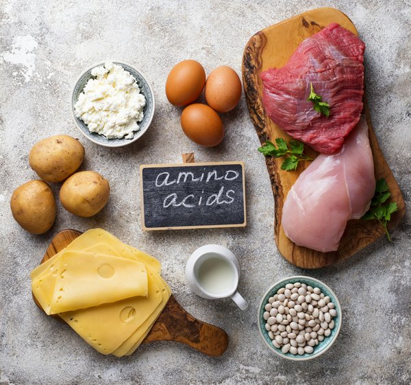 Les bienfaits des acides aminés pour la santé et le bien-être